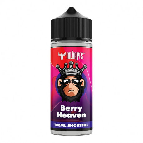 E-liquide Berry Heaven Dr. Vapes 100mL