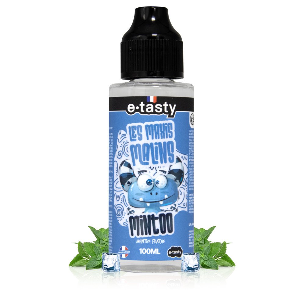 E-liquide Mintoo 100ml E-Tasty - saveur menthe fraîche