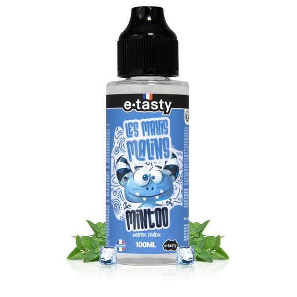 E-liquide Mintoo 100ml E-Tasty - saveur menthe fraîche