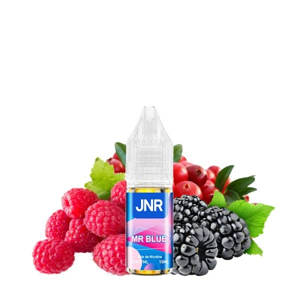 Mr Blue Nic Salt 20mg 10ml - JNR - JNR - Cigarette Électronique & Vape | Alliancetech.fr